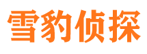 青白江市侦探调查公司